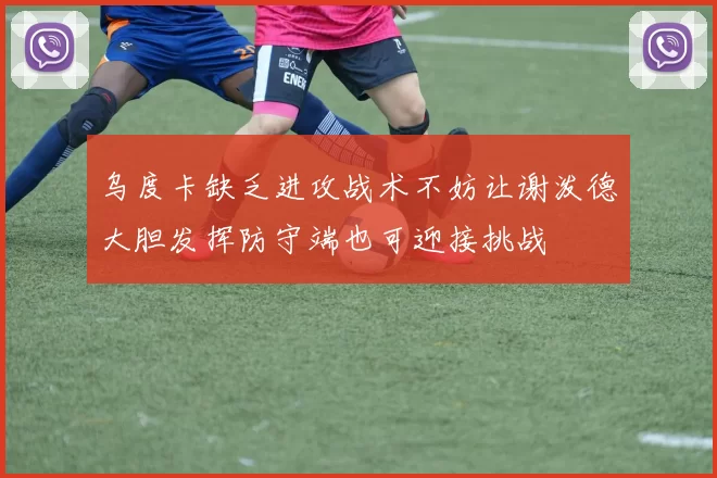 乌度卡缺乏进攻战术不妨让谢泼德大胆发挥防守端也可迎接挑战